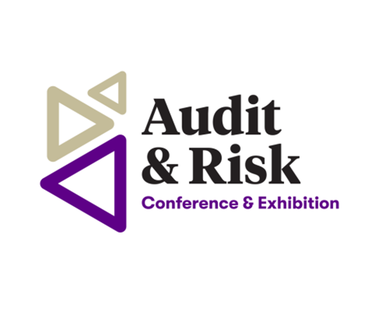 Audit and risk logo