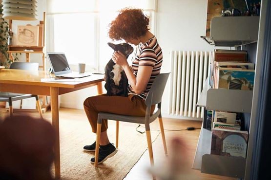 Woman sat at desk with dog on her lap